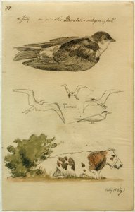 J. Th. Lundbye, golondrina, charranes, vaca acostada de Johan Thomas Lundbye